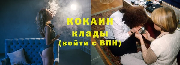 дмт Мегион