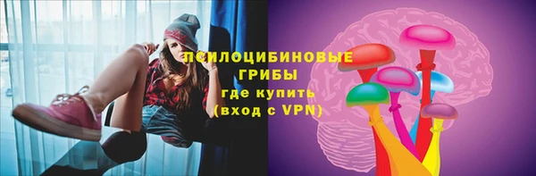 дмт Мегион