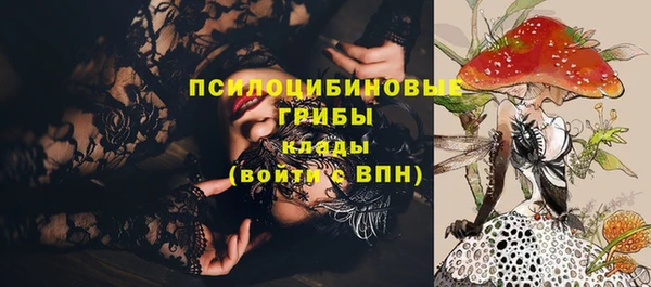 дмт Мегион